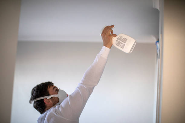 Best Best Mold Removal Companies  in Monroe, NC