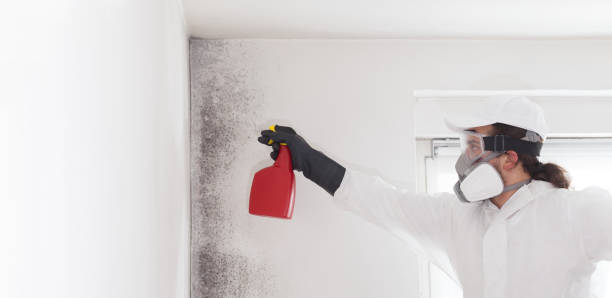 Best Certified Mold Removal  in Monroe, NC