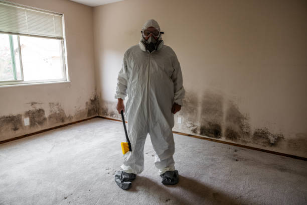 Best Attic Mold Removal  in Monroe, NC